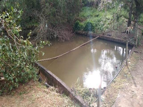 Imagem 7 de 14 de Cod 3611 - Sitio 30.000 Mts De Terreno Com Bosque - 3611