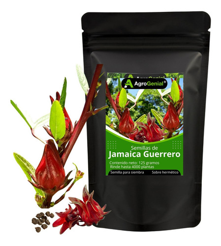 Semilla De Jamaica Guerrero Cáliz Grande (4000 Semillas)