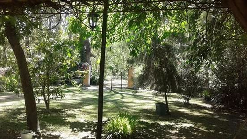 Imagen 6 de 19 de Santa Ana Colonia: 2de Playa, 5personas. Gastos Incluídos