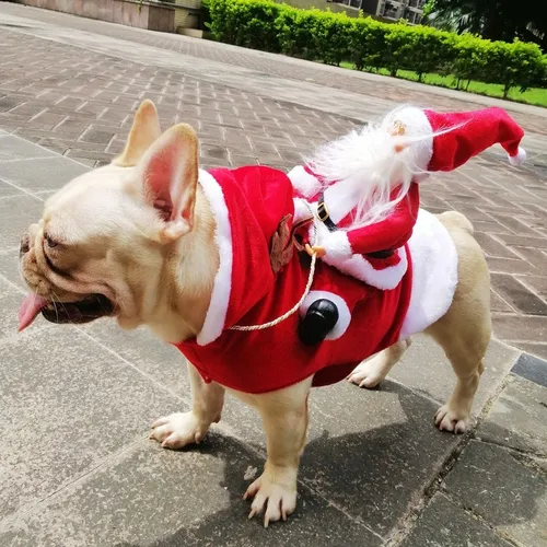 A Traje De Equitación De Santa Claus Ropa For Mascotas