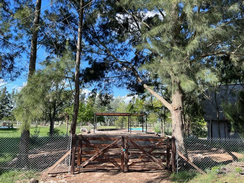Imagen 2 de 11 de Terreno En Venta En Domselaar