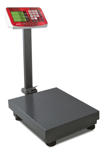 Báscula Industrial Rhino Baple-100, 100 Kg, Mástil Incluido Gris Oscuro