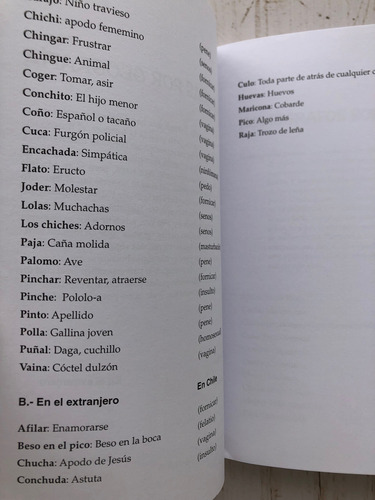 Groserías Y Palabrotas Chilenas / Profe. Jaime Campusano (Usado)