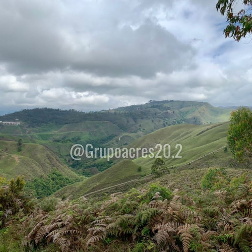 Imagen 5 de 5 de Acres 20.2 Vende Terreno Ubicado En La Urbanizacion Lomas De Avp. Cf