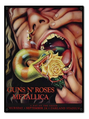 #1431 - Cuadro Vintage 30 X 40 Metallica Guns N' Roses Rock