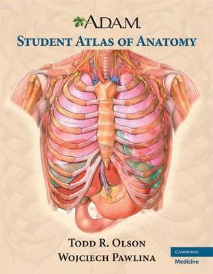 A.d.a.m. Student Atlas Of Anatomy - Todd R. Olson