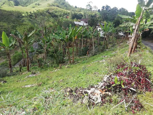Imagen 23 de 30 de Vendo Finca En Avenida Condina Precio De Oportunidad