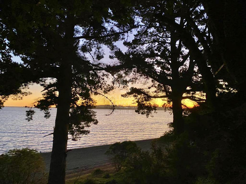 Isla Chaullin Helvecia. Arrayanes Milenarios, Calbuco.