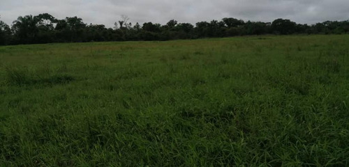 Imagen 13 de 17 de De Oportunidad Vendo Finca En El Cantón 283 Hectáreas Ah