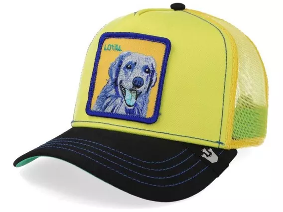 Gorra Goorin Bros 101-1037 Doggy Trip Amarillo