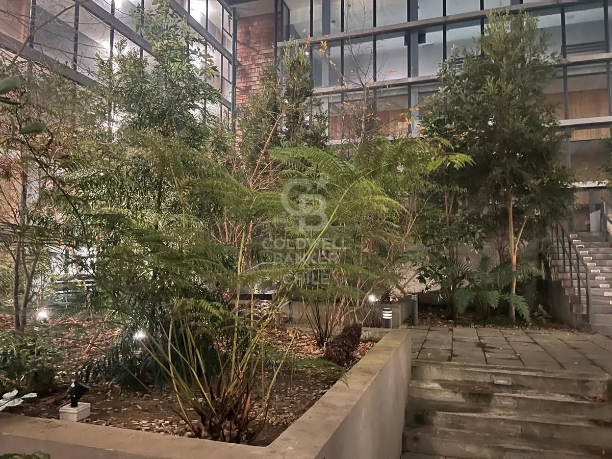 Imagen 4 de 14 de Departamento Mariposa Con Terraza, Quinco Y Áreas De Lujo