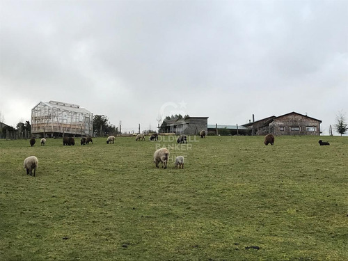 Maravillosa Casa En Parcela Rilán, Castro, Chiloé