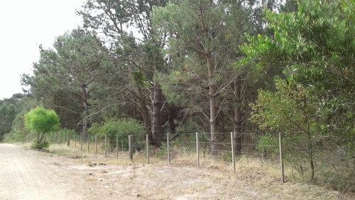 Campo En Colonia.
