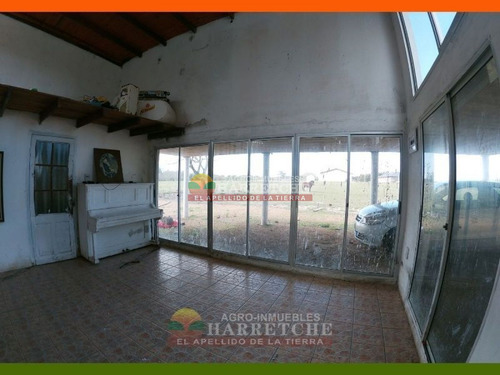 Imagen 12 de 22 de Chacra En Venta 3 Has Con Casa En El Colorado