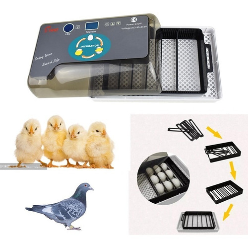 Imagen 4 de 10 de Incubadora Automatica Led Con Ovoscopio Led 40w