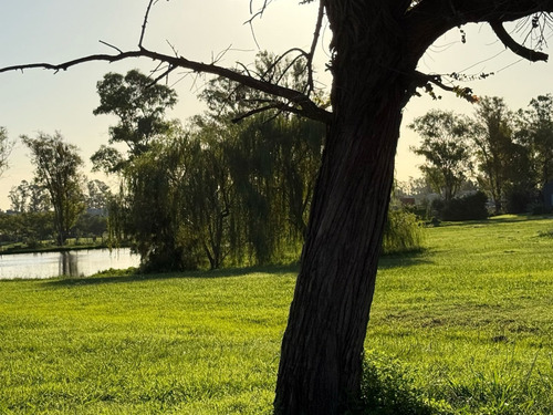 Terreno Lote En Venta En Casuarinas Del Pilar, Zelaya, Pilar