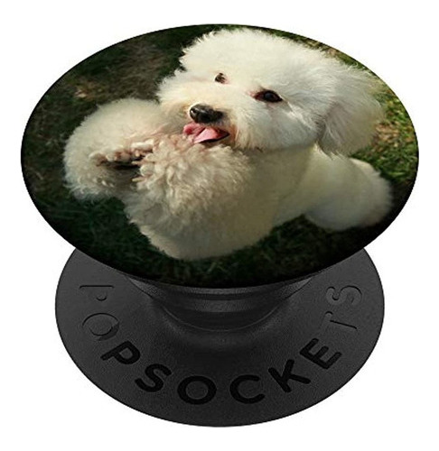 Accesorio De Diseno Bichon Frise