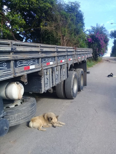 Caminhão Truck Volkswagen 24-250, Ano 2009