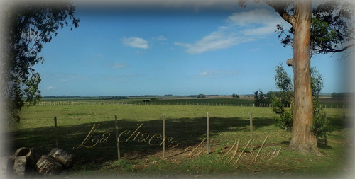Campo De 35 Hectáreas (con Casa)
