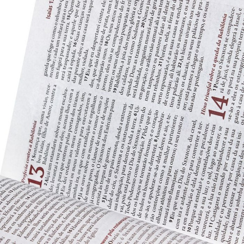 Imagem 8 de 8 de A Bíblia da Mulher - Couro bonded Tulipas Tamanho Médio: Almeida Revista e Atualizada (ARA), de Sociedade Bíblica do Brasil. Editora Sociedade Bíblica do Brasil em português, 2014