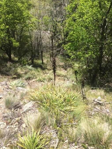 Hermoso Terreno Ubicado En El Valle De Las Trancas