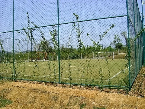 Imagem 11 de 24 de Venda Terrenos Entreverdes Campinas - Ar00188 - 34204078