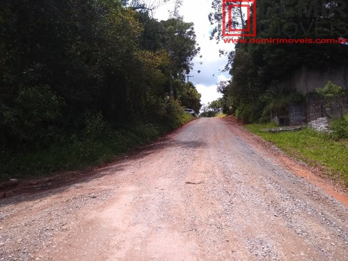 Imagem 12 de 12 de Terreno - Te00008 - 69258914