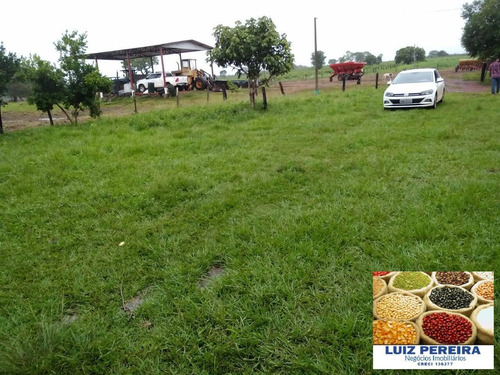 Imagem 14 de 15 de Fazenda À Venda Em Divinópolis - To - De 205 Alqueirões (dupla Aptidão) - 1673