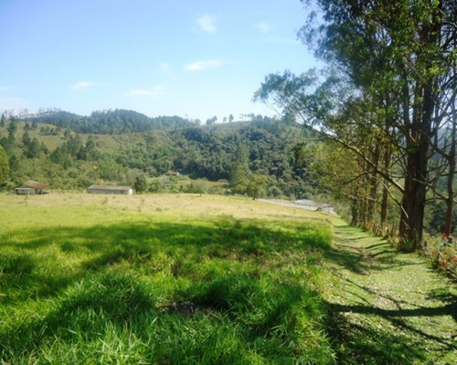 Imagem 10 de 12 de Sitio À Venda Em Juquitiba; Sitio Em Juquitiba; Sítio Com Boa Topografia; - 98 - 32982565