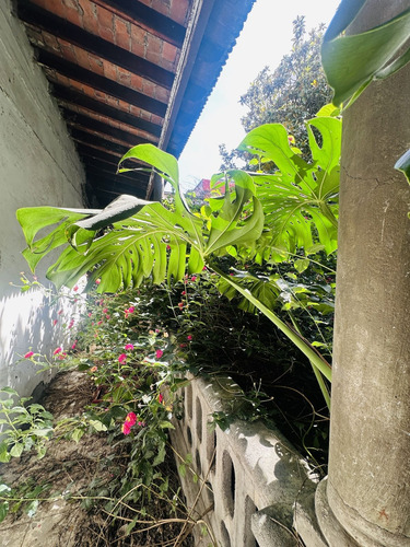 Venta Casa Como Terreno Terreno Super Ubicacion San Pedro De Los Pinos