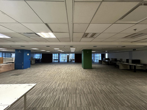 Oficina En Renta - Polanco - Piso 5 - 754 M2