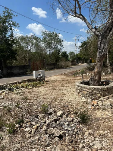 Casa De Dos Recámaras Y Un Baño, Amplio Terreno