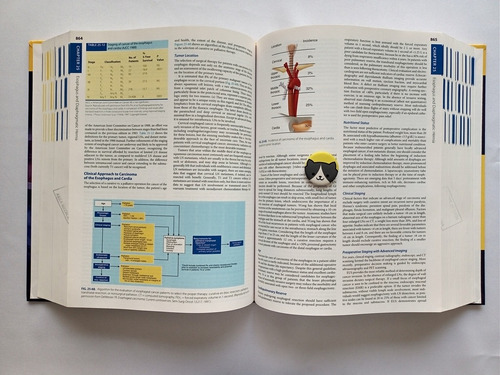 Libro Schwartz's Principles Of Surgery, Ninth Edition 123a1 (Usado)
