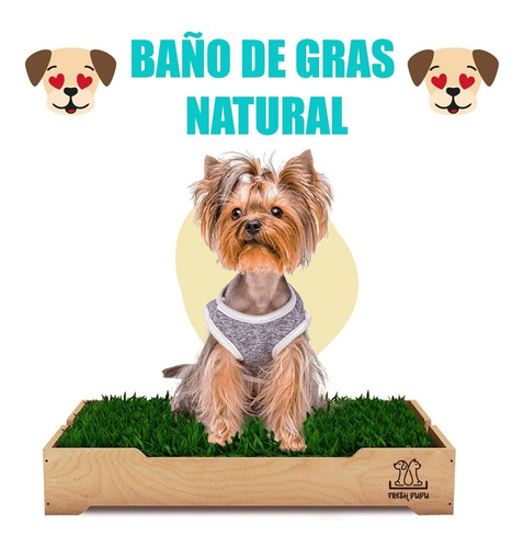 Baño De Gras Natural Para Perros