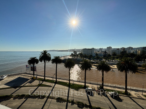 Amplia Vista En Exclusivo Edificio, Avenida Marina