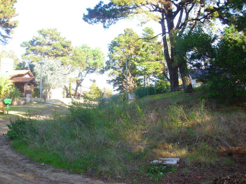Imagen 3 de 6 de Lote En Venta - Zona Bosque / Ref: 1388