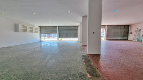 Imagen 9 de 11 de Local 324 M2 Sobre Av. Luro