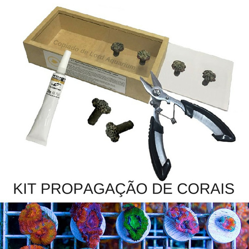 Kit Soma Para Propagação / Poda / Mudas De Corais (mdf)
