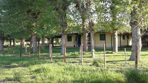 Campo Mixto En Chascomús - Permuta En La Plata