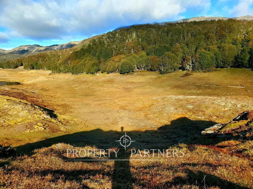Patagonia, 295ha Campo En Puerto Guadal