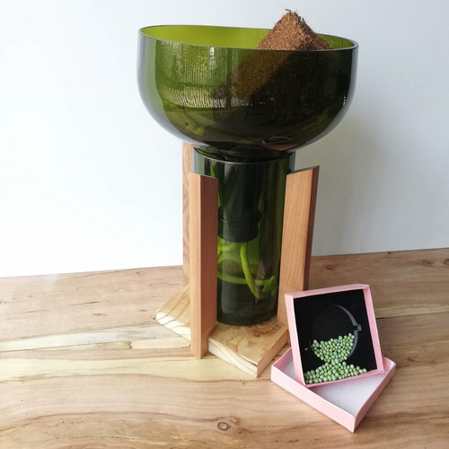 Kit Little Plant 32 Con Soporte, Maceta Autorregante