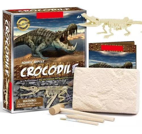 Juego De Excavación Dinosaurios Cocodrilos Fosiles Clicshop