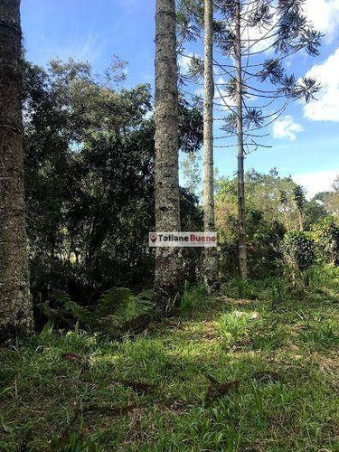 Imagem 9 de 30 de Chácara 12.000 M, Com Cachoeira - Ch0075