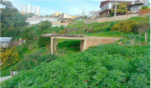 Región Valparaiso (73811)
