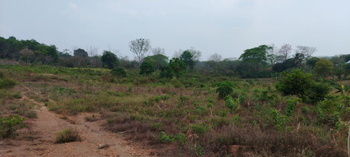 Terreno En Renta De Terreno A Pie De Carretera En Sebastopol Tuxtepec Oaxaca
