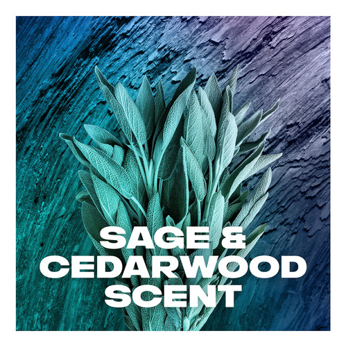 Desodorante Corporal Axe Apollo Sage & Cedarwood 120 Ml Para