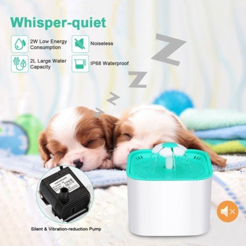 Imagen 5 de 5 de Perros Gatos Mascotas Bebedero Automático Intestino Filtro D