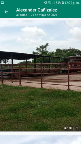 Imagen 13 de 30 de Finca 220 Ha Privadas, Estado Apure