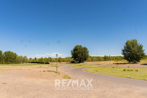 Imagen 11 de 17 de Venta - Terreno Canales De Plottier