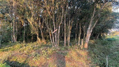 Imagem 3 de 6 de Oferta Terreno No Litoral Sul Com 290 M², Analisa Carro!